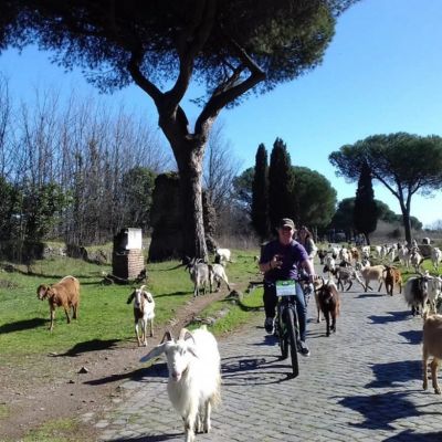 Starsbox & Ebike Tour Appia Antica