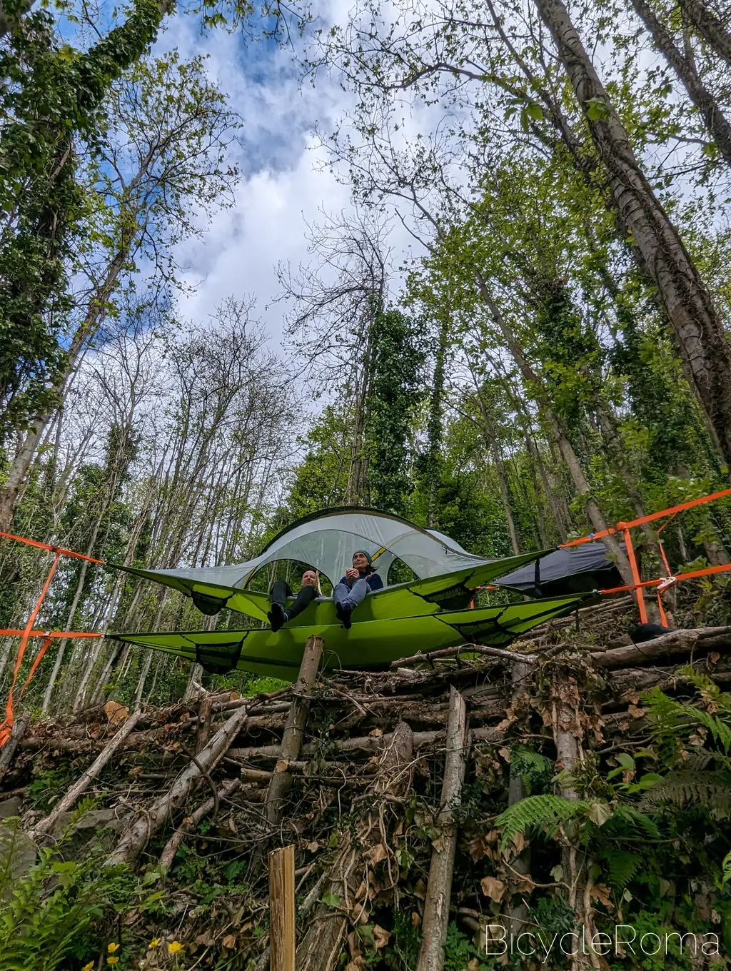 Woods Camp Discover
